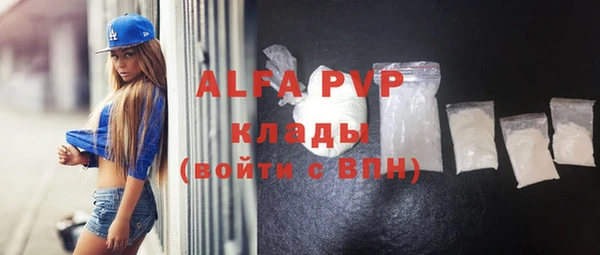 прущие грибы Арсеньев