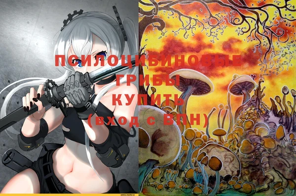 прущие грибы Арсеньев