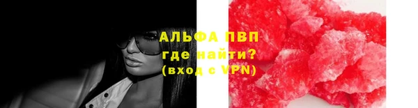 прущие грибы Арсеньев