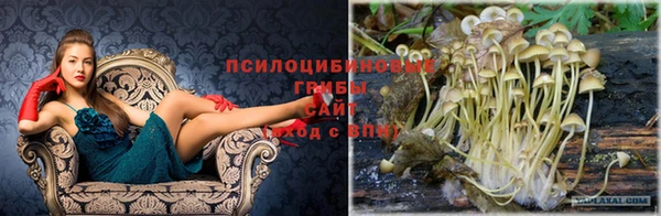 винт Армянск