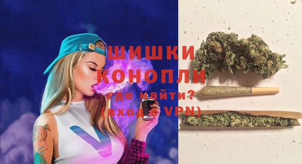 прущие грибы Арсеньев