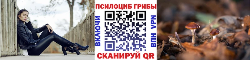 Галлюциногенные грибы прущие грибы  Солигалич 